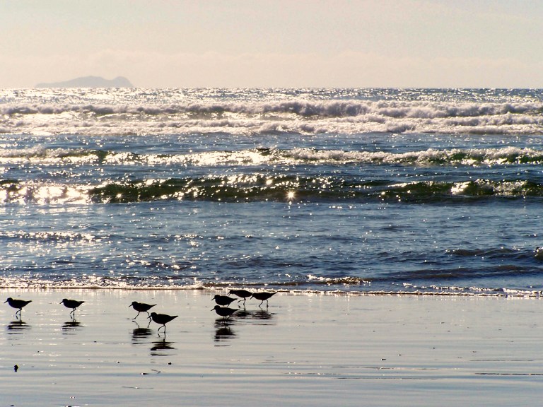 20060127-picture-112